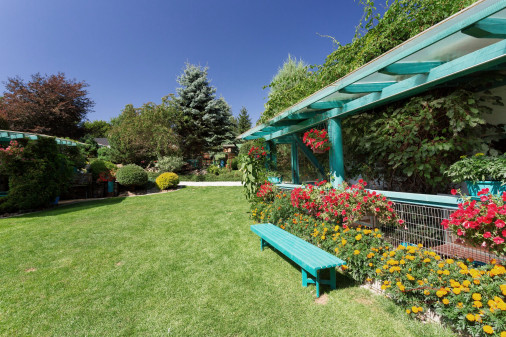 Beautiful pergola in garden design