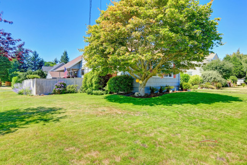 House exterior with front yard landscape