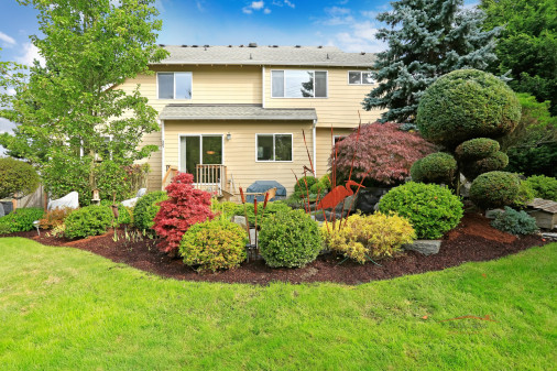 House with backyard tropical garden and lawn