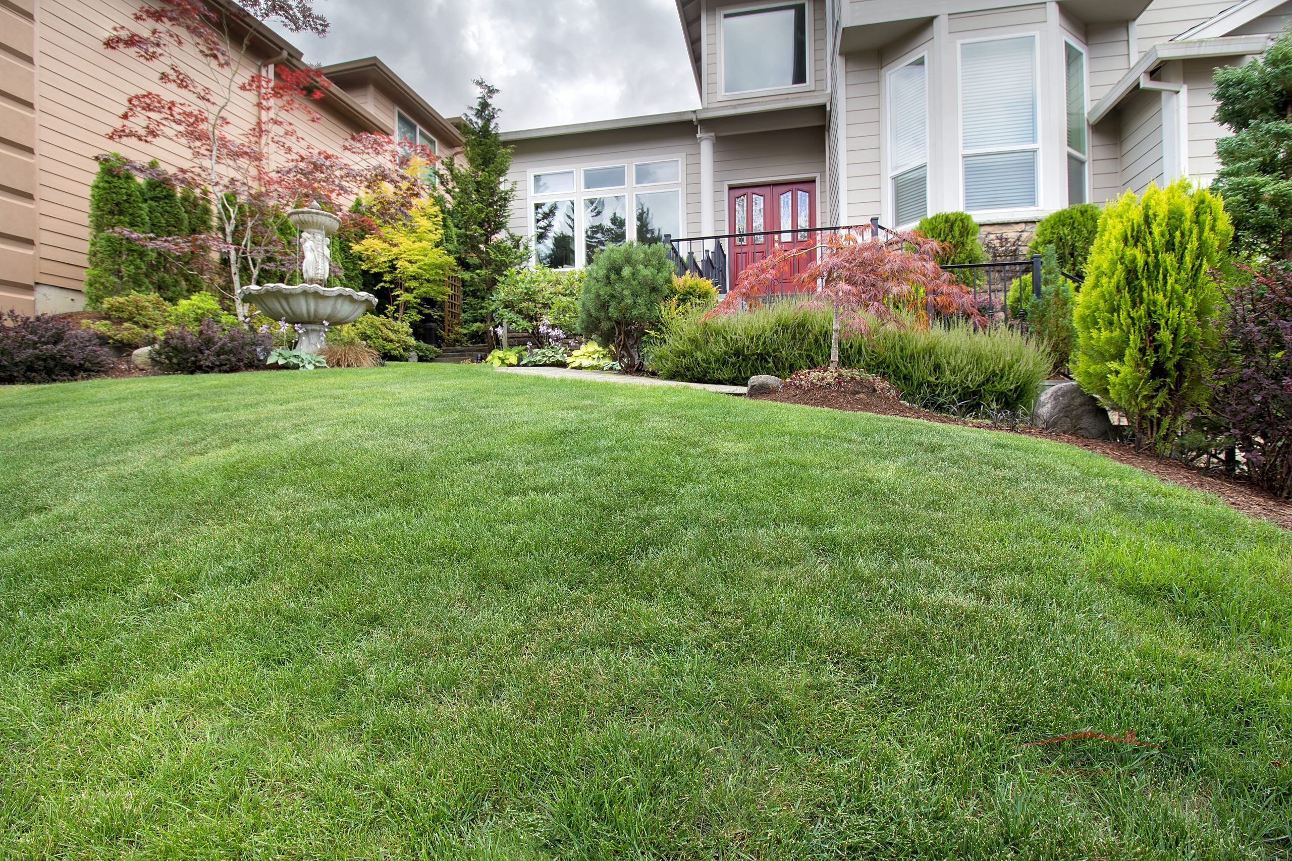 Green Grass Lawn in Manicured Frontyard Garden